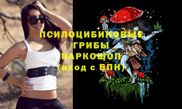спайс Арсеньев