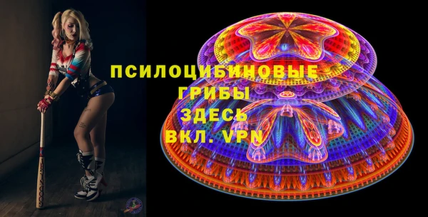 ГАЛЛЮЦИНОГЕННЫЕ ГРИБЫ Армянск